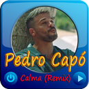 Calma (Remix) - Pedro Capó Musica APK