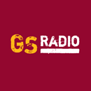 GSRadio - תחנות רדיו מובילות APK