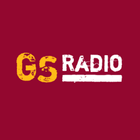 GSRadio 圖標