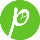 GreenPista icon