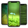 Green Wallpaper