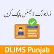 Punjab Driving License Checker