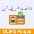 Punjab Driving License Checker