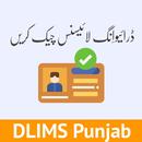 Punjab Driving License Checker aplikacja