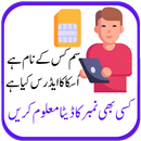 Sim Owner Information aplikacja