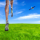 Tracking  Speed Distance Altit APK