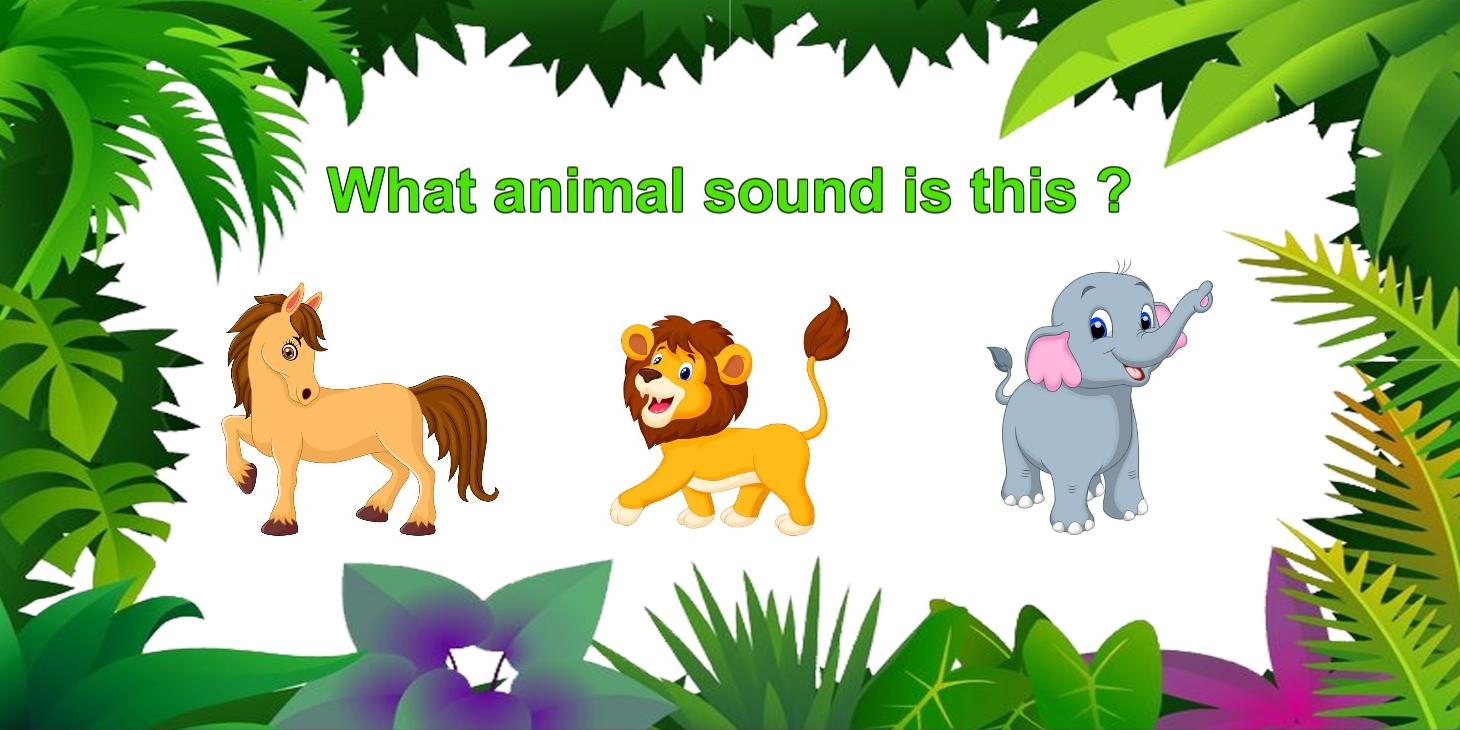 Animal Sound Quiz APK for Android Download Animal Sound Quiz APK for Android Download