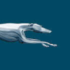 Greyhound ikona