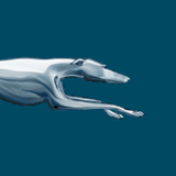 Greyhound أيقونة