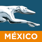 Greyhound México أيقونة