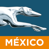 Greyhound México icône