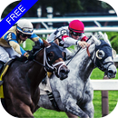 Flat Race Horse Racing APK