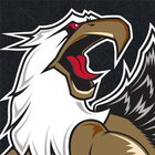 Grand Rapids Griffins Hockey icono