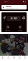 Grand Rapids Griffins Hockey Poster
