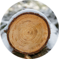 destroy wood