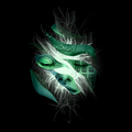 Pro Ethical Hacking Tutorials