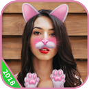 Sweet Camera Selfie Editor - Face Filter APK