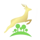 Grocery & More APK