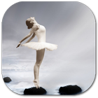 Ballet Dance for beginners icône