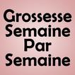 Grossesse Semaine par Semaine