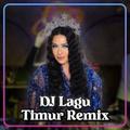 DJ Lagu Timur Remix Offline