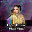 Lagu Timur Sedih Viral Offline APK