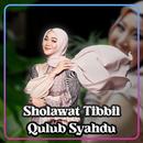 APK Sholawat Tibbil Qulub Syahdu