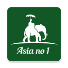 AsiaNo1 icon