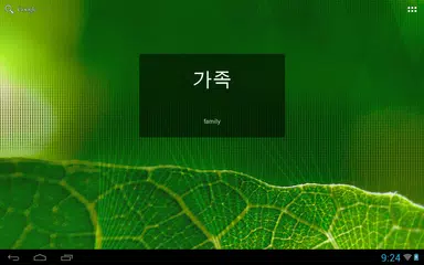 Korean Vocab Widget APK 下載
