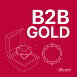 B2BGold