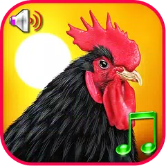 Funny Alarm Clock Ringtones