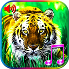 3D Animals Sounds & Wallpapers آئیکن