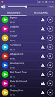 Vogels Geluiden Ringtones screenshot 1