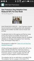 San Francisco News Ekran Görüntüsü 2