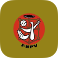 Federación Navarra de Pelota V