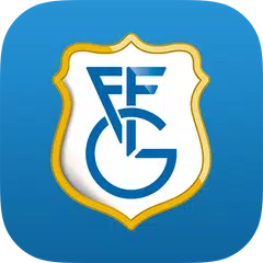 Descargar XAPK de FGF-GFF