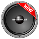 Radio Besame Cali APK