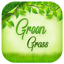 Green Grass APK