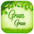 Green Grass ícone