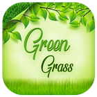 Green Grass icon