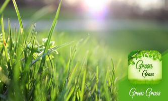 پوستر Green Grass