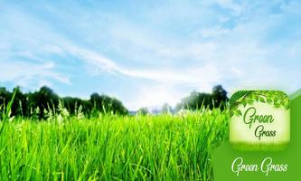 Green Grass imagem de tela 1