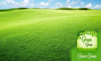 Green Grass imagem de tela 2