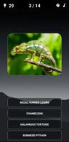 Animal Quiz: Guess the Animal الملصق