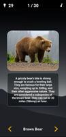 Animal Quiz: Guess the Animal تصوير الشاشة 3