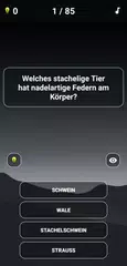 Quiz: Fragen/Antworten XAPK Herunterladen