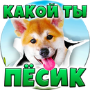 APK Тест: Какой ты Пёсик?