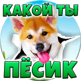 Тест: Какой ты Пёсик? icône