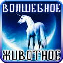 APK Тест: Твоё Волшебное Животное