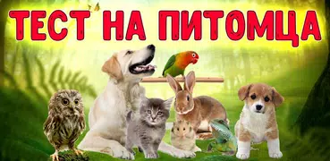 Тест: Твой домашний Питомец